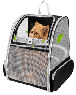 Hot Selling Portable Fully Ventilated Mesh Airline Approved Folding Pet Carrier Designed for Travel Hiking Walking 
