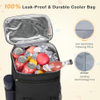 Custom Logo Soft Insulated Leak Proof 30 Cans Insulated Backpack Cooler Portable Picnic Bag Cooler Backpack