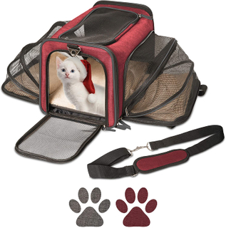 Wholesale Breathable Airline Approved Expandable Sides with Pet Leashes for Dogs Retractable Pet Carrier Backpack