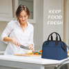 10L Insulated Leakproof Cooler Lunch Tote Bag for Office College School Picnic Fresh Food Lunch Bag