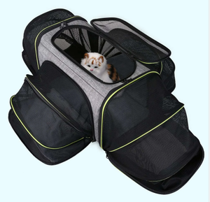 Factory Hot-selling Durable Portable 4 Side Airline Approved Outdoor Expandable Foldable Soft-Sided Pet Carrier