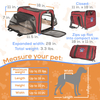 Wholesale Breathable Airline Approved Expandable Sides with Pet Leashes for Dogs Retractable Pet Carrier Backpack