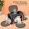 2020 Hot Sale Custom New Fashing Design Portable And Washable Solid Stable Pet Carrier