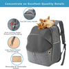 ODM OEM Wholesale Durable Scratch-proof Mesh Pet Backpack Carrier Expandable Cat Backpack