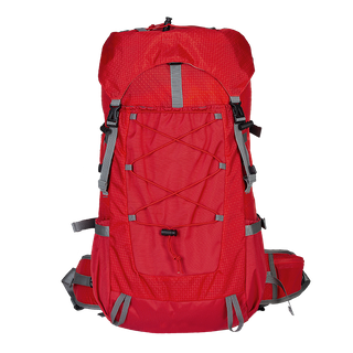 Factory ODM Outdoor Daypack High Quality Nylon Hiking Backpack