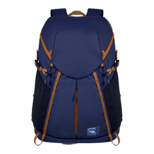 New Design Large Capacity Water-Resistant 50L Padded Ski Bag Snowboard Boot Bag Ski Travel Bag