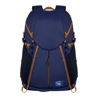 New Design Large Capacity Water-Resistant 50L Padded Ski Bag Snowboard Boot Bag Ski Travel Bag